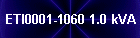 ETI0001-1060 1.0 kVA