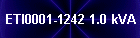 ETI0001-1242 1.0 kVA